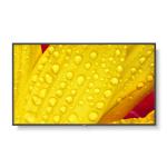 Monitor NEC 60006085 50" 4K Ultra HD