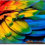 Smart TV 50 50HFL6214U 4K Ultra HD Wi - Fi (Antracite) - PHILIPS