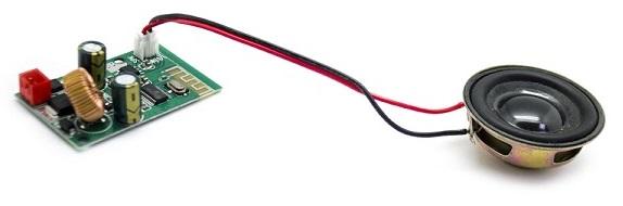 Placa Bluetooth + Altifalante - CITYCOCO