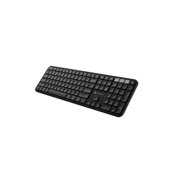 Teclado e Rato Natec NKL-1998 Qwerty US Preto