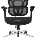 Cadeira de Escritório Ergonômica Premium c/ Apoio de Cabeça e Braços (Preto) - EQUIP