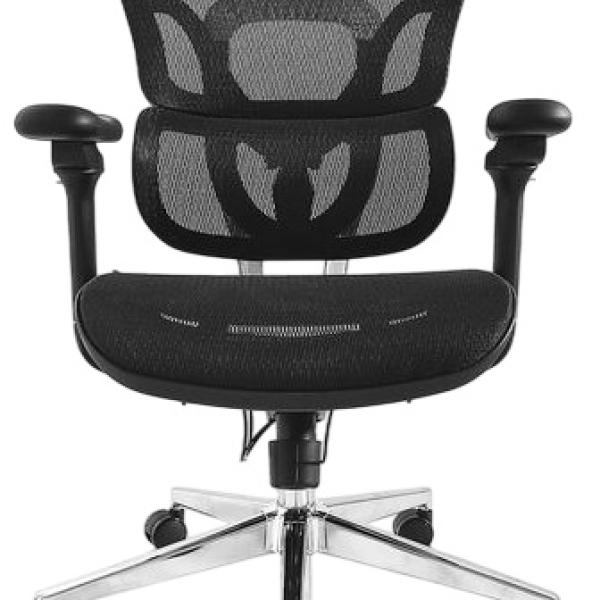 Cadeira de Escritório Ergonômica Premium c/ Apoio de Cabeça e Braços (Preto) - EQUIP