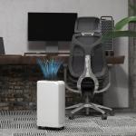 Desumidificador 12L/dia Depósito de Água 0,8L com Rodas Temporizador de 24 Horas Ecrã Digital de Humidade Branco