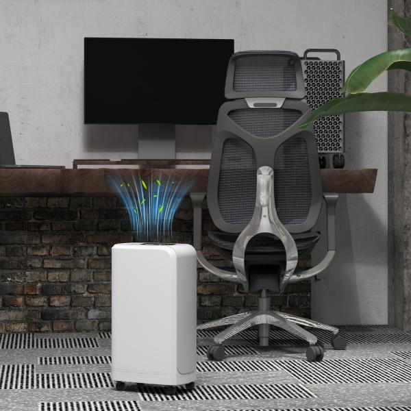 Desumidificador 12L/dia Depósito de Água 0,8L com Rodas Temporizador de 24 Horas Ecrã Digital de Humidade Branco