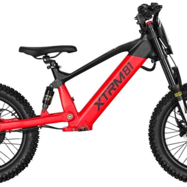 Bicicleta Elétrica Infantil 18 36V 500W DX - XTRM FACTORY 81