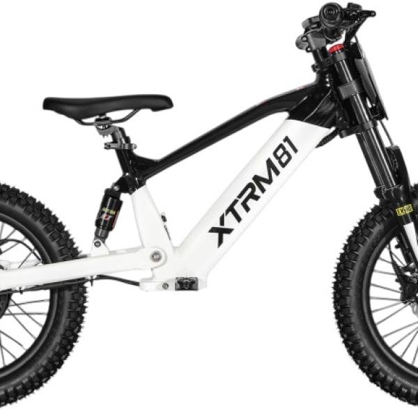 Bicicleta Elétrica Infantil 18 36V 500W DX18 (Branco) - XTRM FACTORY 81