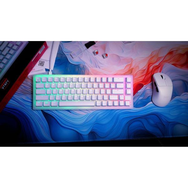 Teclado e Rato Cherry CXK5V2RGBCPTBLACKRFR