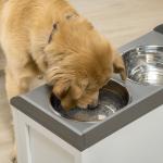 Comedouro Elevado para Cães com 2 Tigelas 2000ml de Aço Inoxidável Gaveta Oculta com Suporte de Madeira 60x30x36cm Branco