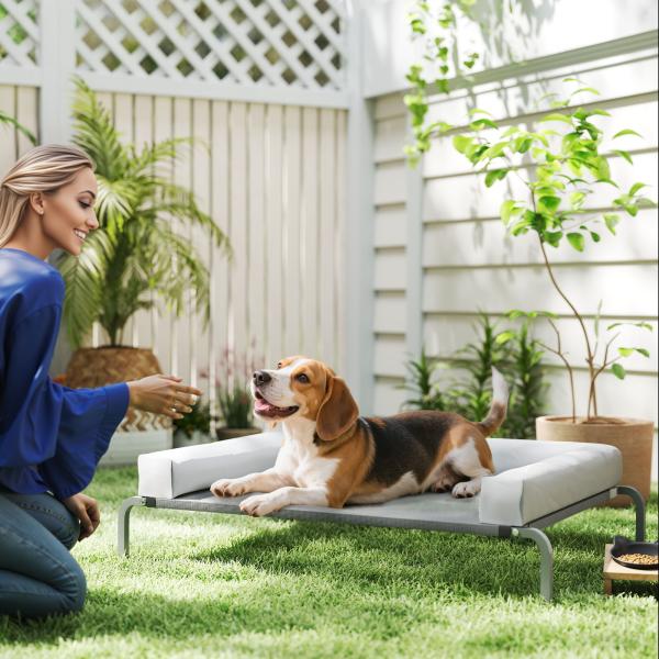 Cama Elevada para Cães com Latertais Amovíveis Cama Elevada para Cães Médios Portátil com Malha Respirável 130x90x30 cm Cinza Claro
