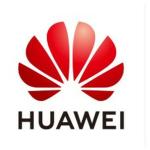 Switch Huawei 45060155