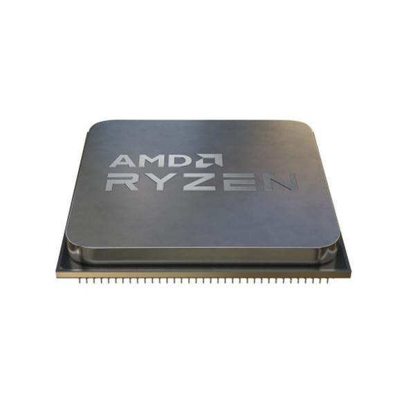 Processador AMD 100-000000718
