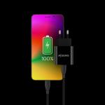 Carregador de Parede Aisens A110-0538 Preto