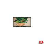 Monitor Videowall Philips 32BDL4511D/00 Full HD 32"