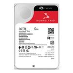 Disco Duro Seagate ST30000NT011 3,5"