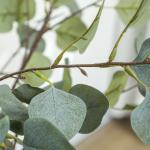 Eucalipto Artificial 150 cm Planta Artificial Decorativa Grande Árvore Artificial de Interior com 230 Folhas Verde