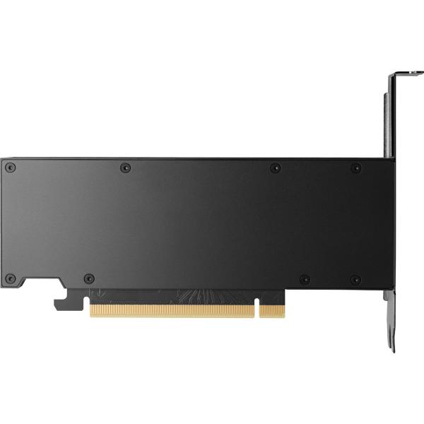 Placa Gráfica HP 8D6B8AA