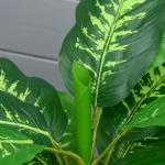 Planta Artificial Aglaonema Planta Sintética de 95cm com 42 Folhas e Vaso de Cimento Decoração para Casa e Exterior Verde
