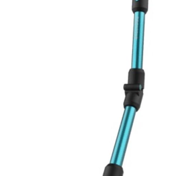Aspirador Vertical Conga Rockstar RX50 Pet Flex 780W 300AW (Preto/Azul) - CECOTEC