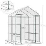 Estufa Transparente de Jardim Estufa de Plantas de 3 Níveis com Prateleiras Estrutura de Aço 143x143x195cm Transparente e Verde