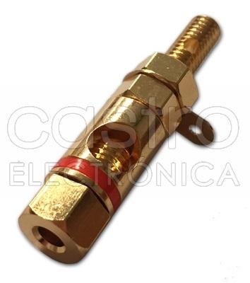 Alvéolo/Terminal Dourado - Anel Vermelho