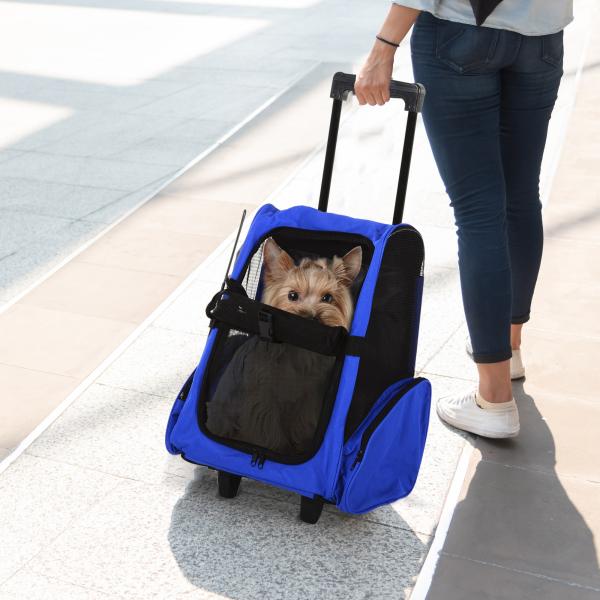Transportadora 2 em 1 para Animais de Estimação Mochila ou Carrinho de Viagem para Cães e Gatos com 2 Rodas Alça Retrátil de Alumínio e Bolso de Armazenamento 42x25x55cm Azul