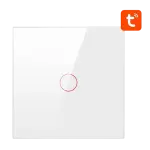 Interruptor Inteligente ZTS02 - EU - W1 1 Canal ZigBee Tuya (Branco) - AVATTO
