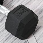 Haltere Hexagonal 15 kg Haltere com Barra de Conexão Metálica para treino em Casa Ginásio Escritório Preto e Prata