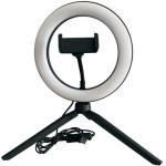 Pack Candeeiro LED 12,5W Dimável 10 + Tripé com Suporte Smartphone p/ Estúdio Fotográfico
