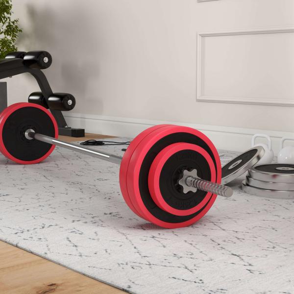 Conjunto de Barra de Pesos 30 kg com Discos Conjunto de Musculação com 6 Discos e 1 Barra para Treino de Força Levantamento de Pesos 170x26x26 cm Vermelho