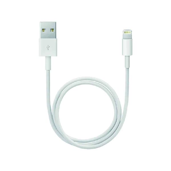 Cabo Apple - Cabo Lightning macho para USB macho - 50 cm (Recondicionado)