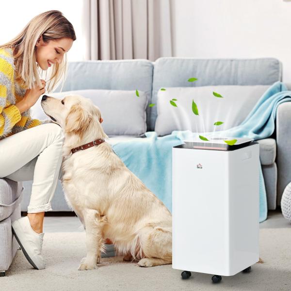 Desumidificador Elétrico 10L/dia Depósito 2,5L Silencioso com 5 Modos 2 Velocidades Ecrã LED e Temporizador 25x25x50,5 cm Branco