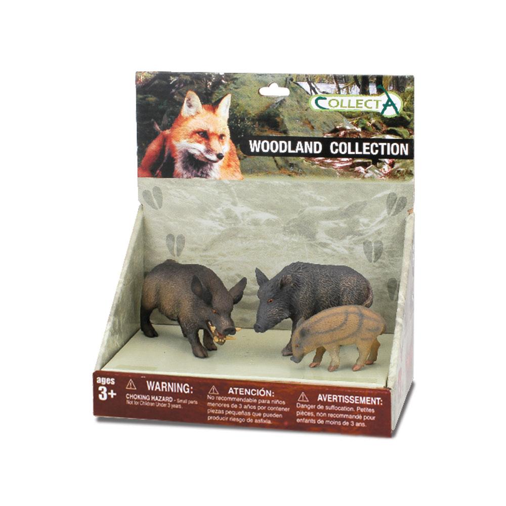 Collecta Set 3 Porcos Selvagens