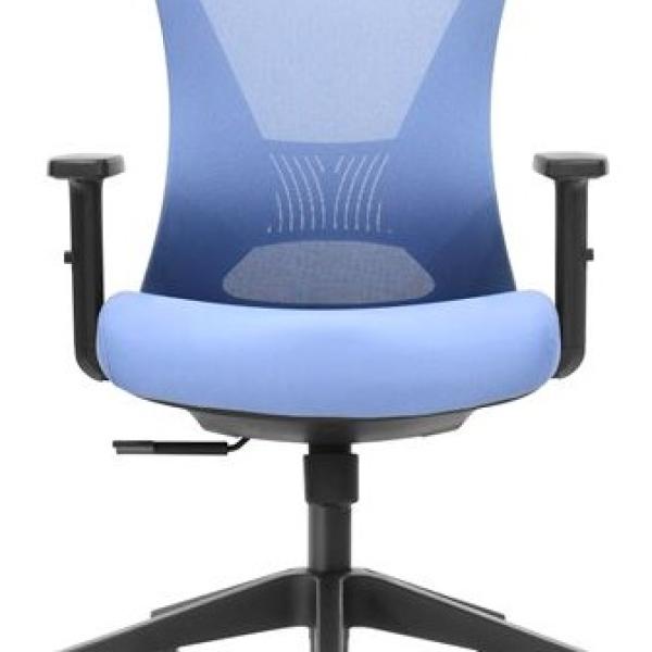 Cadeira de Escritório Sênior Range SE1700 (Azul) - CROMAD