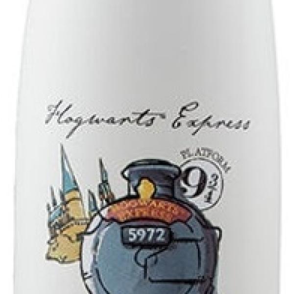 Garrafa Térmica Harry Potter Jornada a Hogwarts 500ml - CINEREPLICAS