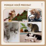 Arranhador para Gatos com 2 Postes de Arranhar Cama Plataforma em U e Escova Bola Suspensa 40x40x48 cm Cinza