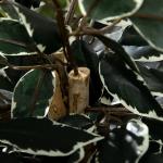 Ficus Artificial com Troncos Planta Artificial com Vaso e 702 Folhas Realistas para Ø15x130 cm Verde