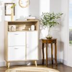 Sapateira para 8 Pares de Sapatos com 2 Gavetas Prateleira Aberta e Porta 80x25,5x112,5cm Madeira e Branco