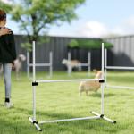 Conjunto de Treinamento de Agilidade para Cães 4 Peças Obstáculos de Salto com Altura Ajustável 99x65x94 cm Azul