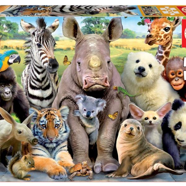 Puzzle Junior 300 A Foto da Turma