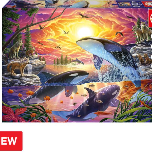 Puzzle 4000 Orcas e Lobos - EDUCA
