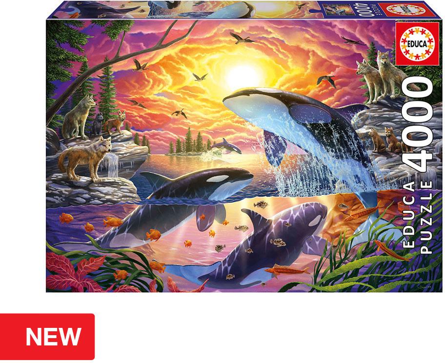 Puzzle 4000 Orcas e Lobos - EDUCA