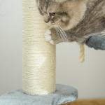 Árvore Arranhador para Gatos Ø40x65 cm com Cama Plataformas em Pelúcia Corda Suspensa e Poste com Corda de Sisal Cinza