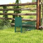 Armadilha para Animais Vivos com Porta Gaiola de Captura com Alça de Transporte para Coelhos Raposas Pequenas 60x18x20cm Verde Escuro
