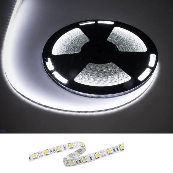 Fita 1500 LEDs SMD5050 Flexivel IP65 Branco Frio 12V - 25 mts