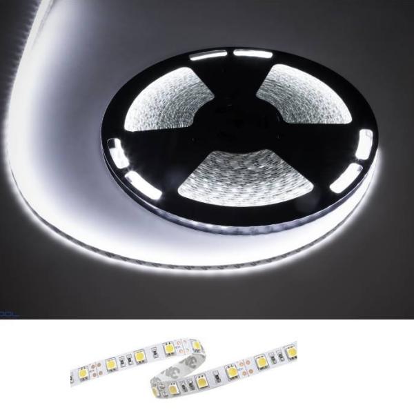 Fita 1500 LEDs SMD5050 Flexivel IP20 Branco Frio 12V - 25 mts
