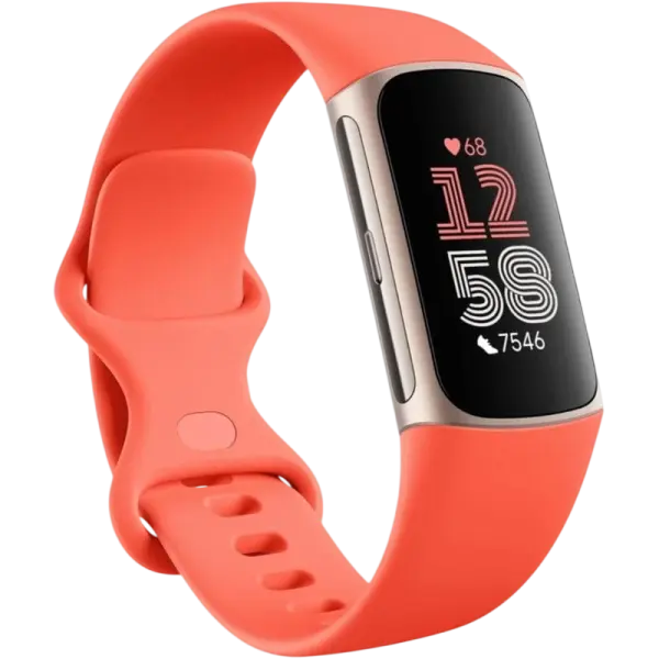 Smartband Charge 6 (Coral/Champagne Gold) - FITBIT