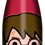 Garrafa Térmica Harry: Harry Potter 500ml - KARACTERMANIA