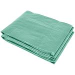 Cobertura de Estufa com 6 Janelas e Porta para Jardim Anti - UV PE 300x200x200 cm Verde