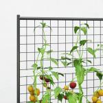 Caixa de Plantio de Aço Galvanizado com Treliça para Plantas Trepadeiras e Fundo Aberto 80x115x125 cm Cinza Escuro
