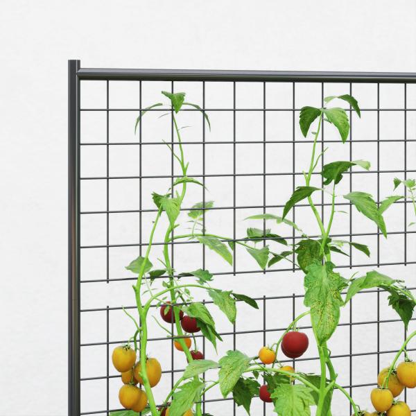 Caixa de Plantio de Aço Galvanizado com Treliça para Plantas Trepadeiras e Fundo Aberto 80x115x125 cm Cinza Escuro
